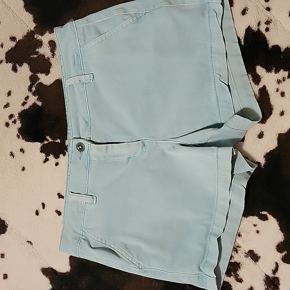 Land N Sea Shorts Size 10